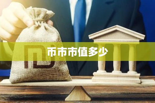 币市市值多少