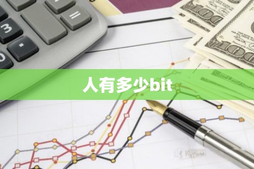 人有多少bit