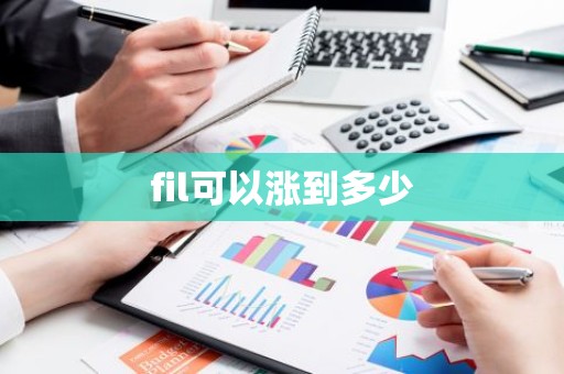 fil可以涨到多少