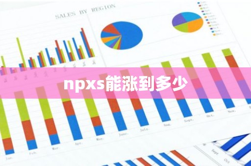 npxs能涨到多少