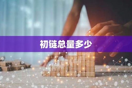 初链总量多少