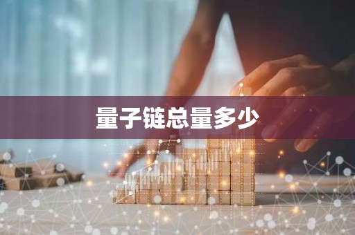 量子链总量多少