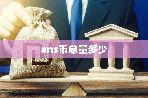 ans币总量多少