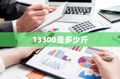 13300是多少斤