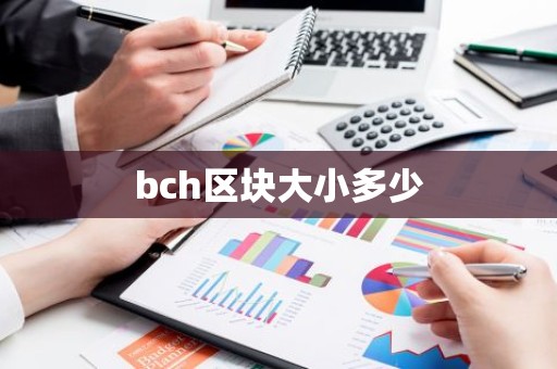 bch区块大小多少