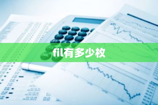 fil有多少枚