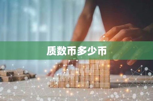 质数币多少币