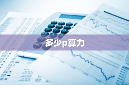 多少p算力