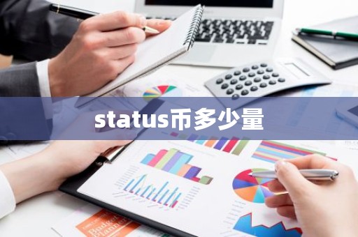 status币多少量
