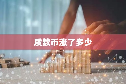 质数币涨了多少