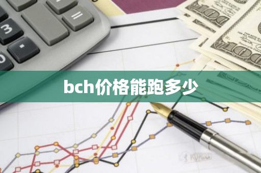bch价格能跑多少