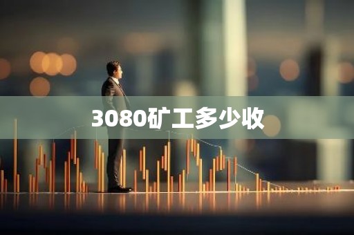 3080矿工多少收