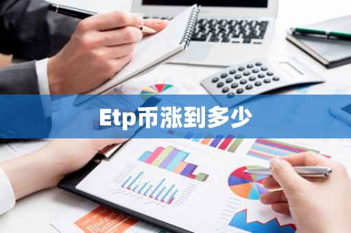 Etp币涨到多少