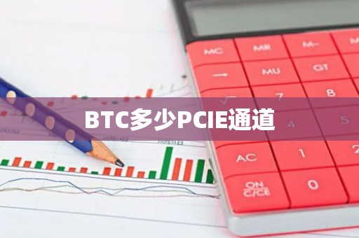 BTC多少PCIE通道