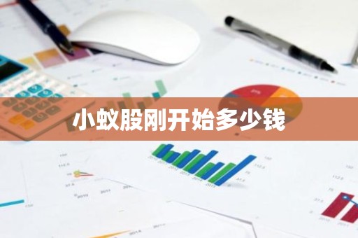 小蚁股刚开始多少钱