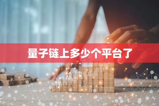 量子链上多少个平台了