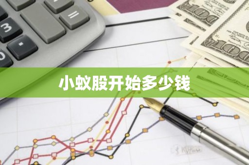 小蚁股开始多少钱