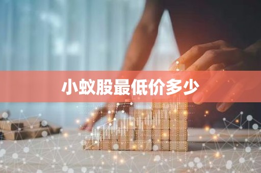 小蚁股最低价多少