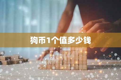 狗币1个值多少钱