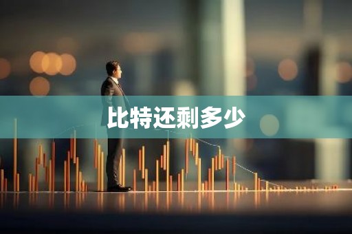 比特还剩多少