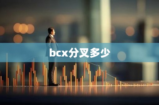 bcx分叉多少
