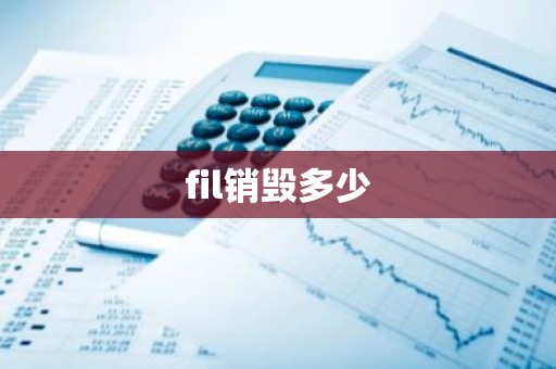 fil销毁多少