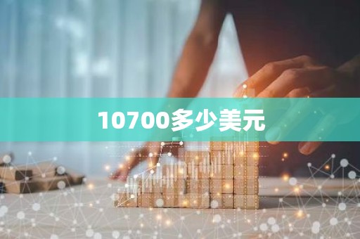 10700多少美元