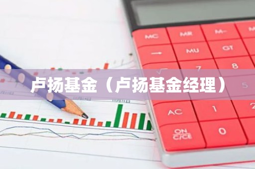 卢扬基金（卢扬基金经理）