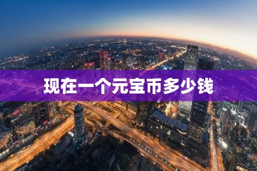 现在一个元宝币多少钱
