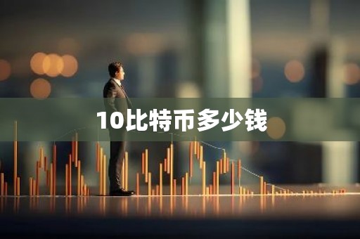 10比特币多少钱