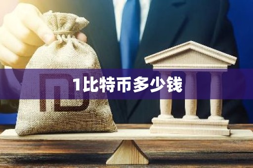 1比特币多少钱