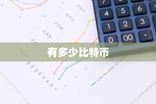 有多少比特币