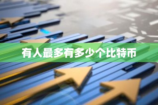 有人最多有多少个比特币