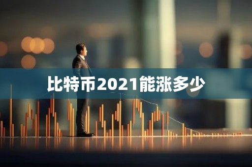 比特币2021能涨多少