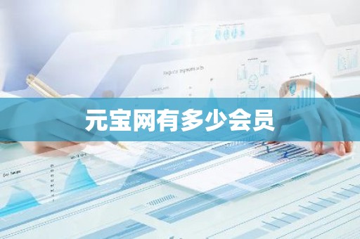 元宝网有多少会员