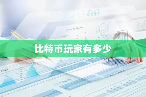 比特币玩家有多少