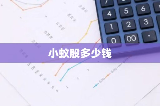小蚁股多少钱