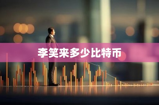 李笑来多少比特币