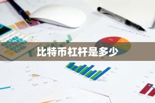 比特币杠杆是多少