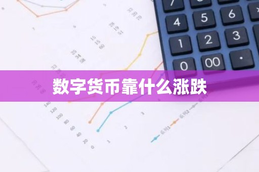 数字货币靠什么涨跌