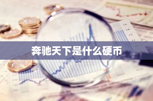 奔驰天下是什么硬币