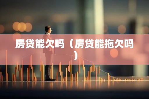 房贷能欠吗（房贷能拖欠吗）