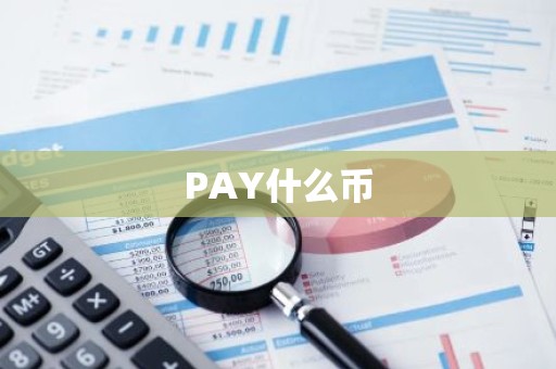PAY什么币