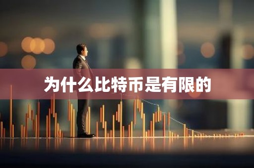 为什么比特币是有限的