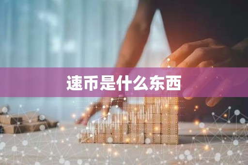 速币是什么东西