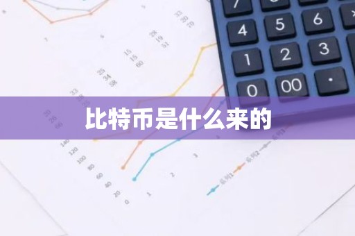 比特币是什么来的