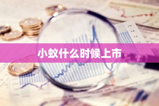 小蚁什么时候上市
