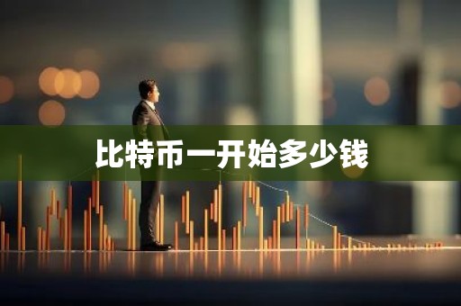 比特币一开始多少钱