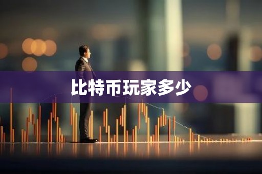 比特币玩家多少