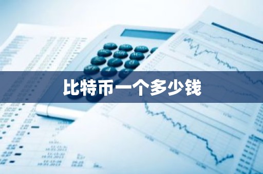 比特币一个多少钱